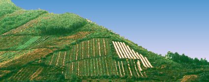 Cliquer sur l'image et glisser la dans le panier virtuel � droite pour ajouter cet article au panier