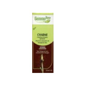 Cliquer sur l'image et glisser la dans le panier virtuel � droite pour ajouter cet article au panier