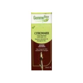 Cliquer sur l'image et glisser la dans le panier virtuel � droite pour ajouter cet article au panier