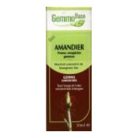 Cliquer sur l'image et glisser la dans le panier virtuel � droite pour ajouter cet article au panier