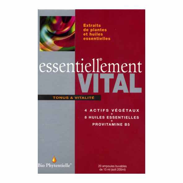 Cliquer sur l'image et glisser la dans le panier virtuel � droite pour ajouter cet article au panier